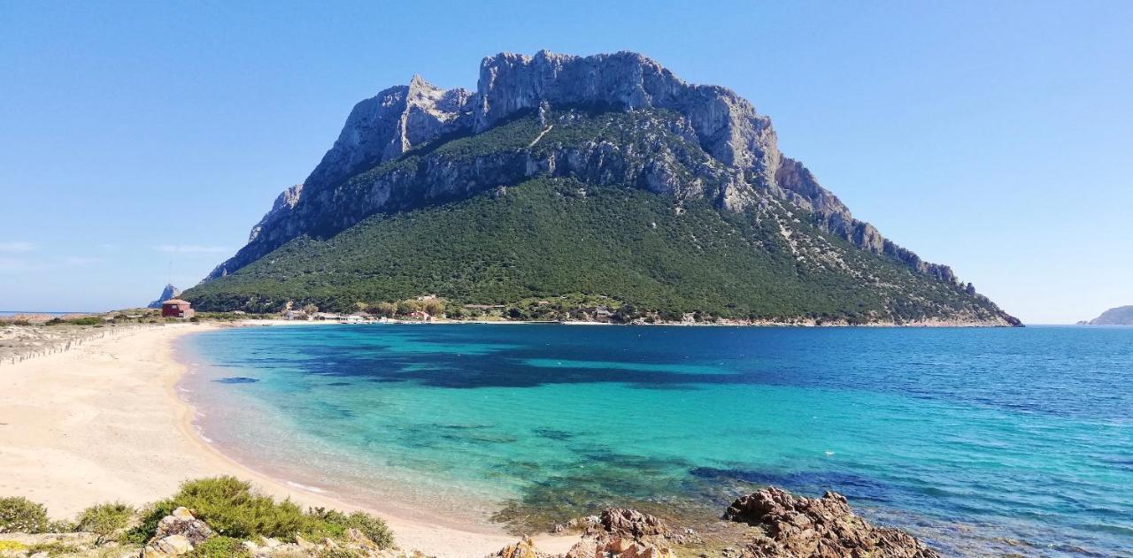 Iss Travel, Le Carrube Two Bedrooms Apartments With Air Conditioning San Teodoro  Extérieur photo